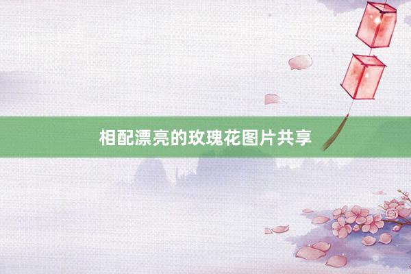 相配漂亮的玫瑰花图片共享