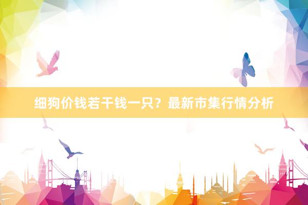 细狗价钱若干钱一只？最新市集行情分析