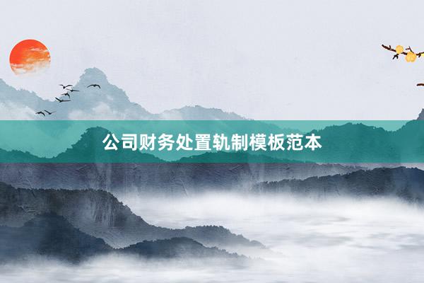 公司财务处置轨制模板范本